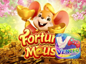 VENCEU BET login — configurações de segurança e proteção de conta